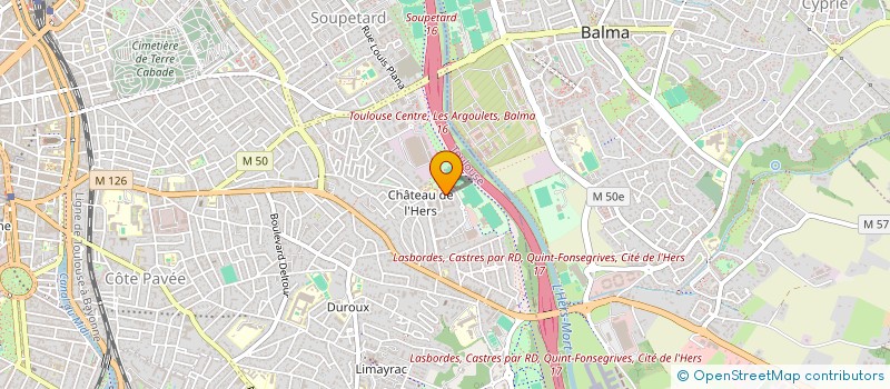 localisation de l'entreprise MONSIEUR ENZO THIEULIN  TOULOUSE