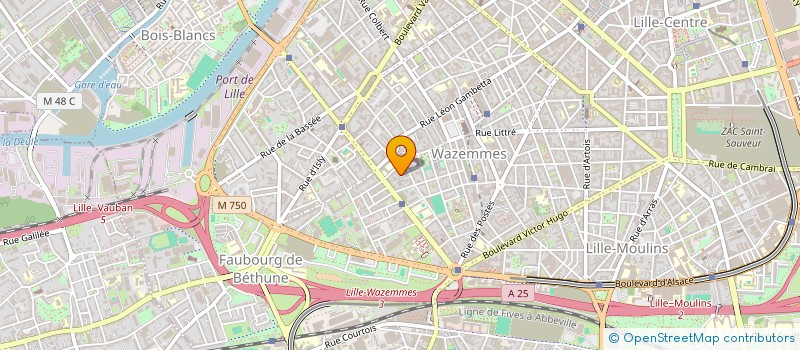 localisation de l'entreprise MONSIEUR EPHREM CLEMENT  LILLE