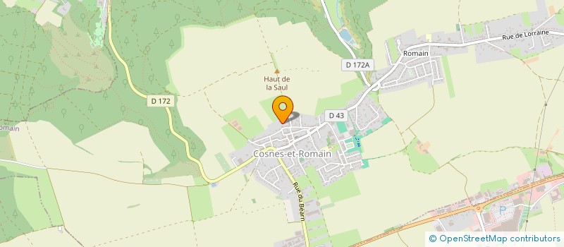 localisation de l'entreprise MONSIEUR ERIC ANELLI  COSNES-ET-ROMAIN