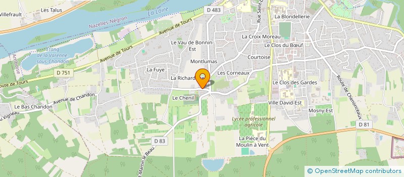 localisation de l'entreprise MONSIEUR ERIC ARGY à AMBOISE