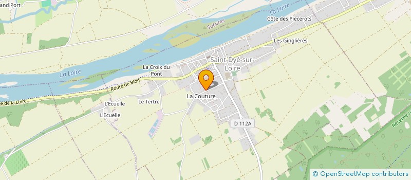 localisation de l'entreprise MONSIEUR ERIC BIGATTIN  SAINT-DYE-SUR-LOIRE