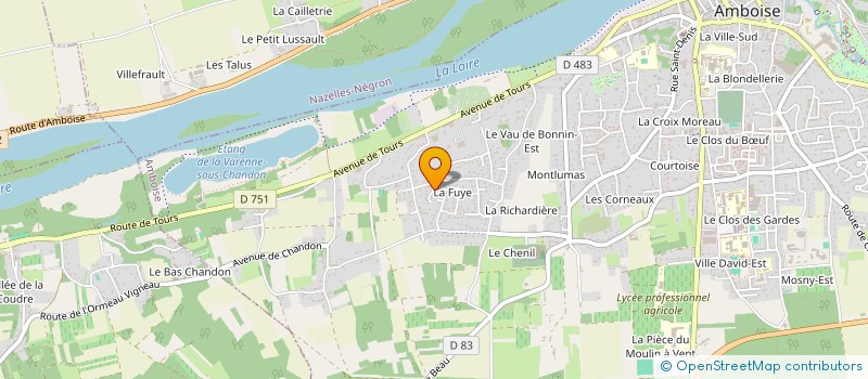 localisation de l'entreprise MONSIEUR ERIC BOISGARD  AMBOISE