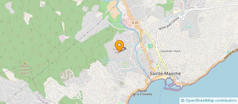 localisation de l'entreprise MONSIEUR ERIC BOULUD à SAINTE-MAXIME