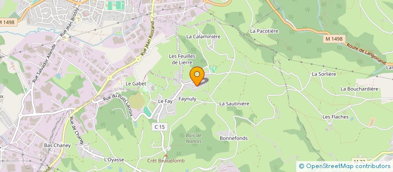 localisation de l'entreprise MONSIEUR ERIC BOURGIER  SAINT-JEAN-BONNEFONDS