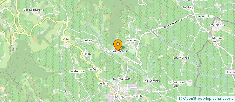 localisation de l'entreprise MONSIEUR ERIC CHAMPAGNON à FLEURIE