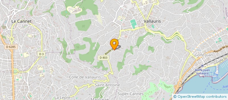 localisation de l'entreprise MONSIEUR ERIC DEGIOANNI à VALLAURIS