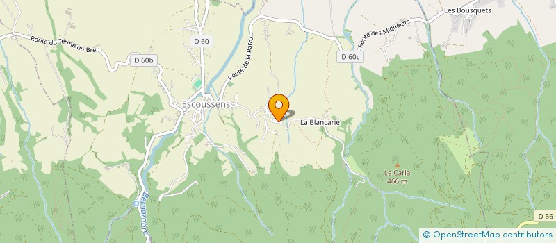 localisation de l'entreprise MONSIEUR ERIC DELBOULBE  ESCOUSSENS