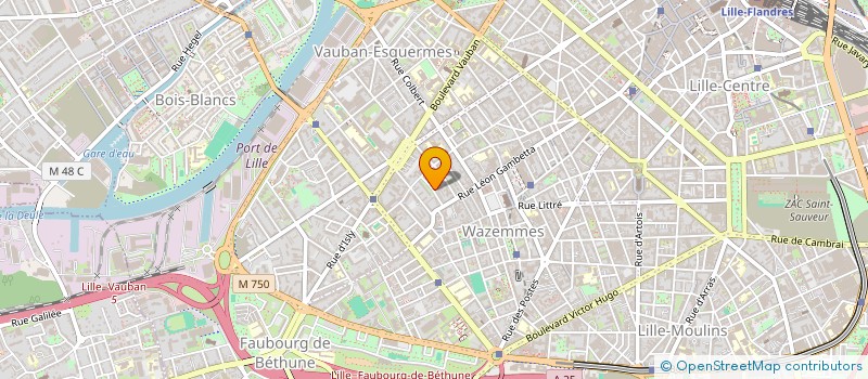 localisation de l'entreprise MONSIEUR ERIC DELTOUR  LILLE