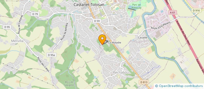 localisation de l'entreprise MONSIEUR ERIC DRONSART à CASTANET-TOLOSAN
