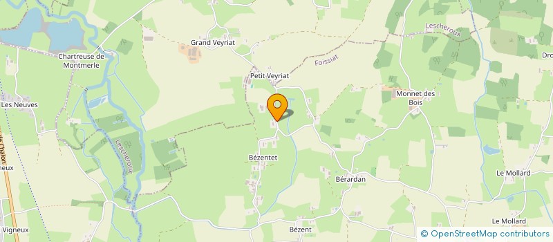 localisation de l'entreprise MONSIEUR ERIC DUBOIS  FOISSIAT