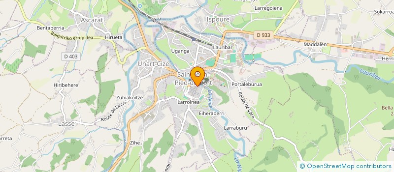 localisation de l'entreprise MONSIEUR ERIC DUCHENE  SAINT-JEAN-PIED-DE-PORT