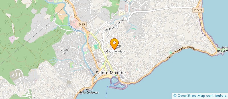 localisation de l'entreprise MONSIEUR ERIC DUPLANTIER à SAINTE-MAXIME