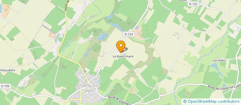 localisation de l'entreprise MONSIEUR ERIC FREULON  BELLEVIGNE-EN-LAYON