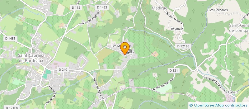 localisation de l'entreprise MONSIEUR ERIC GOUSSE  SAINT-CAPRAIS-DE-BORDEAUX