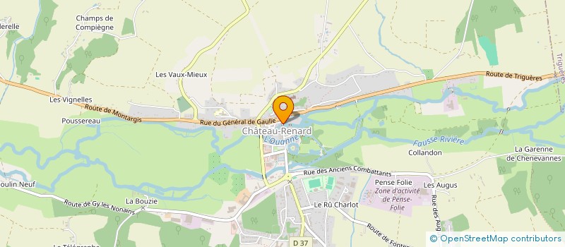 localisation de l'entreprise MONSIEUR ERIC GUEUDIN  CHATEAU-RENARD