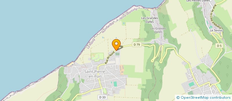 localisation de l'entreprise MONSIEUR ERIC HAUGUEL  SAINT-PIERRE-EN-PORT