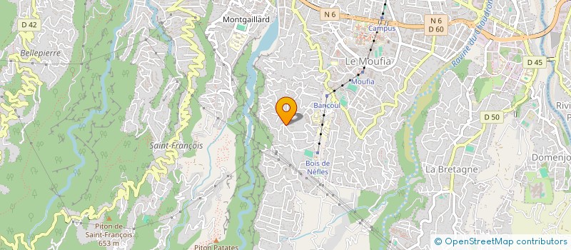 localisation de l'entreprise MONSIEUR ERIC JEAN LALLEMAND  SAINT DENIS