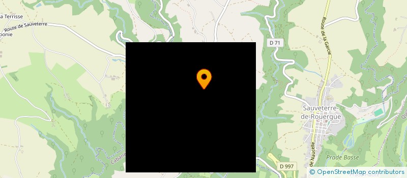 localisation de l'entreprise MONSIEUR ERIC LAPEYRE  SAINT-JUST-SUR-VIAUR