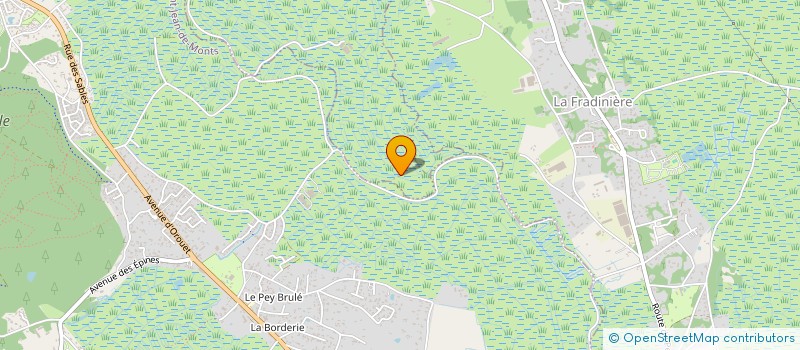 localisation de l'entreprise MONSIEUR ERIC MAUVOISIN-DELAVAUD  LE PERRIER