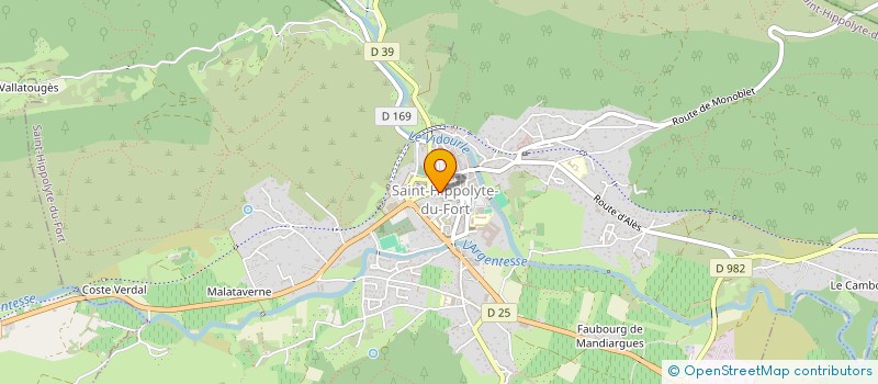 localisation de l'entreprise MONSIEUR ERIC MONTESANO  SAINT-HIPPOLYTE-DU-FORT