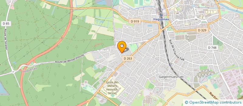 localisation de l'entreprise MONSIEUR ERIC OHLMANN-NAPIWOCKI  HAGUENAU