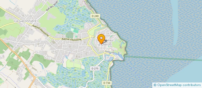 localisation de l'entreprise MONSIEUR ERIC PECASTAINGS  LE CHATEAU-D'OLERON