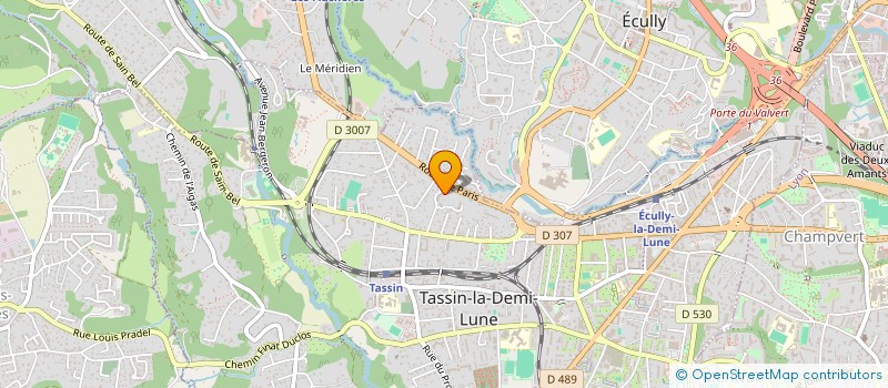 localisation de l'entreprise MONSIEUR ERIC PETRILLO  TASSIN-LA-DEMI-LUNE