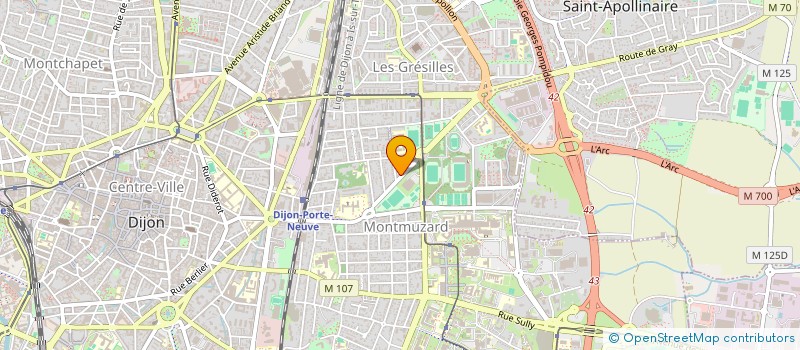 localisation de l'entreprise MONSIEUR ERIC ROUZAUT  DIJON