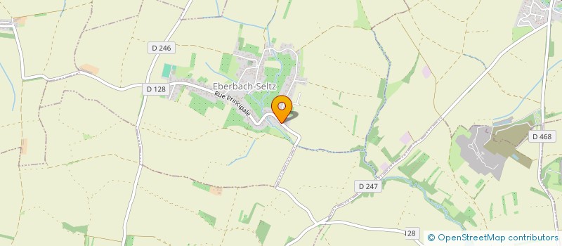 localisation de l'entreprise MONSIEUR ERIC SCHALL  EBERBACH-SELTZ