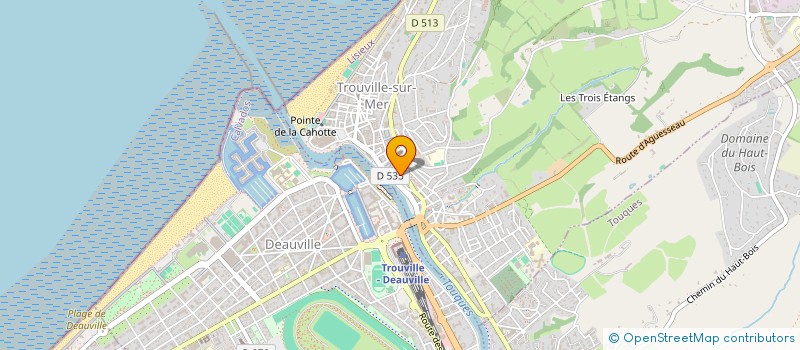 localisation de l'entreprise MONSIEUR ERIC THEIL  TROUVILLE-SUR-MER