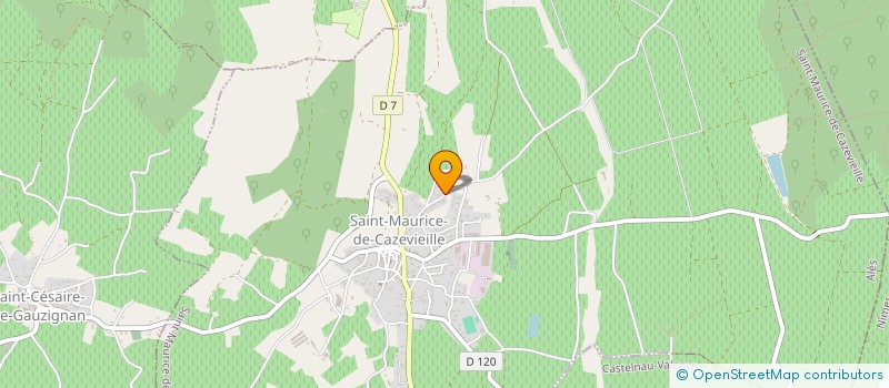 localisation de l'entreprise MONSIEUR ERIC THOMAS  SAINT-MAURICE-DE-CAZEVIEILLE