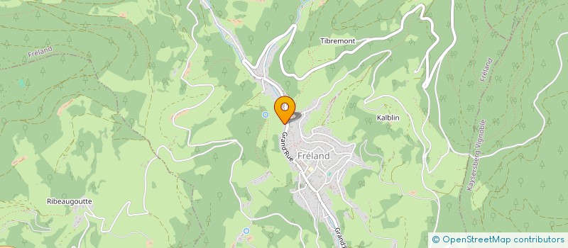 localisation de l'entreprise MONSIEUR ERIC TORREGROSSA  FRELAND