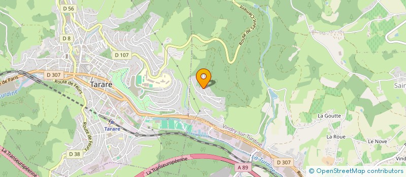 localisation de l'entreprise MONSIEUR ERIC TUREAU  VINDRY-SUR-TURDINE