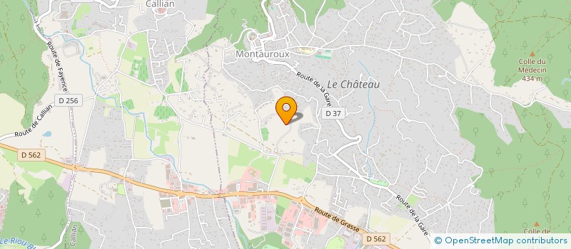 localisation de l'entreprise MONSIEUR ERIC WITTON  MONTAUROUX