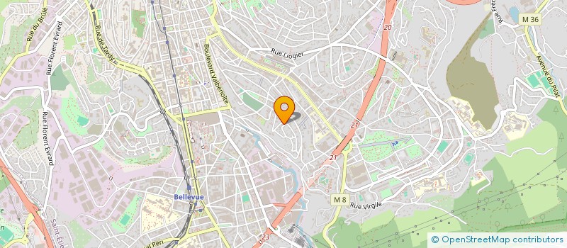 localisation de l'entreprise MONSIEUR ERJON HASA  SAINT-ETIENNE