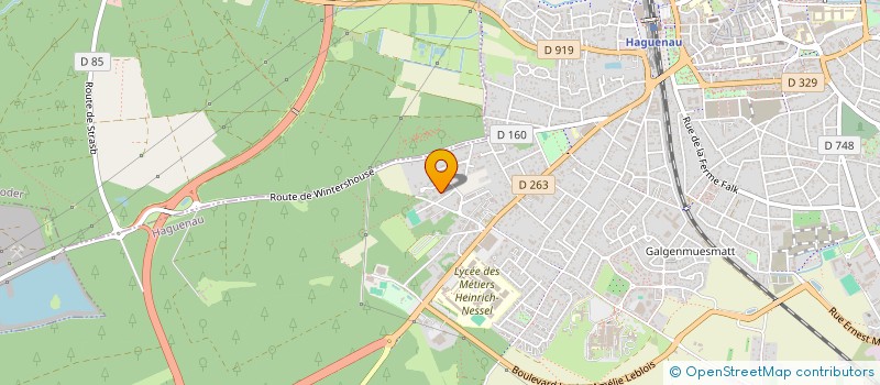 localisation de l'entreprise MONSIEUR ERMIR RAKIPLLARI à HAGUENAU