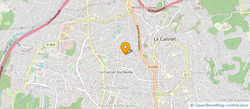 localisation de l'entreprise MONSIEUR ERNEST HENRY à LE CANNET