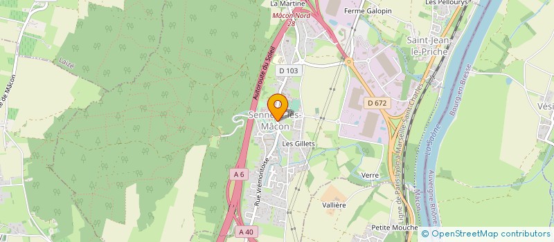 localisation de l'entreprise MONSIEUR ERNESTO CAMPOS LEAO  MACON
