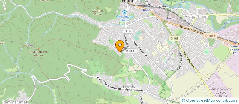 localisation de l'entreprise MONSIEUR EROL KAYPAK à THANN