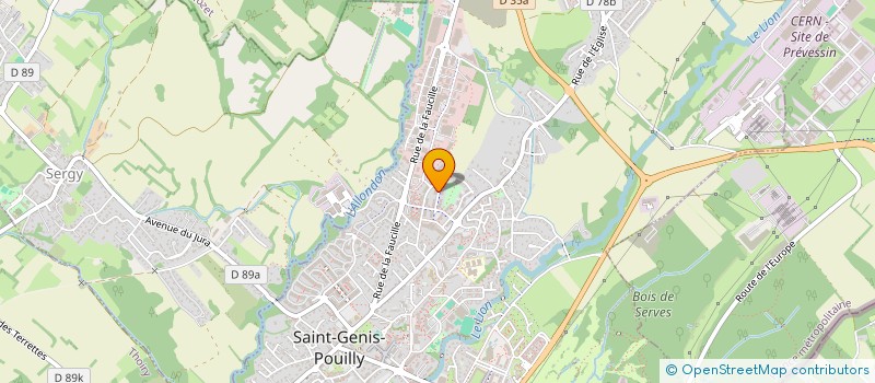 localisation de l'entreprise MONSIEUR ERTON ISMAJLI  SAINT-GENIS-POUILLY