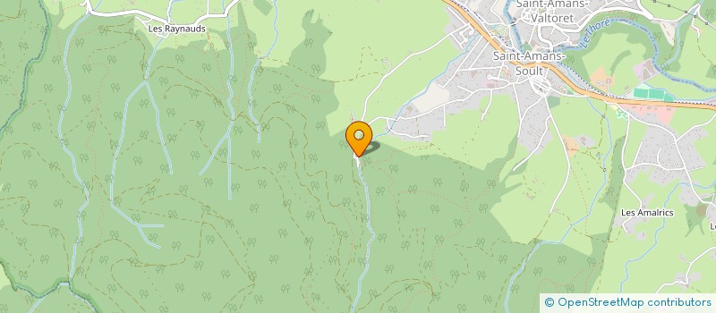 localisation de l'entreprise MONSIEUR ERWAN MARTINEZ  SAINT-AMANS-SOULT