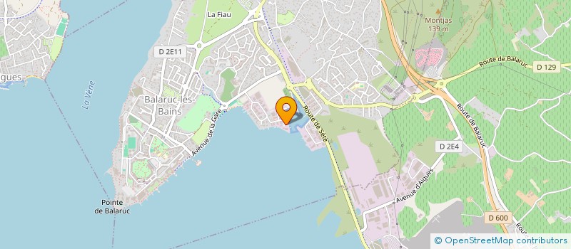 localisation de l'entreprise MONSIEUR ERWAN TEXIER  BALARUC-LES-BAINS