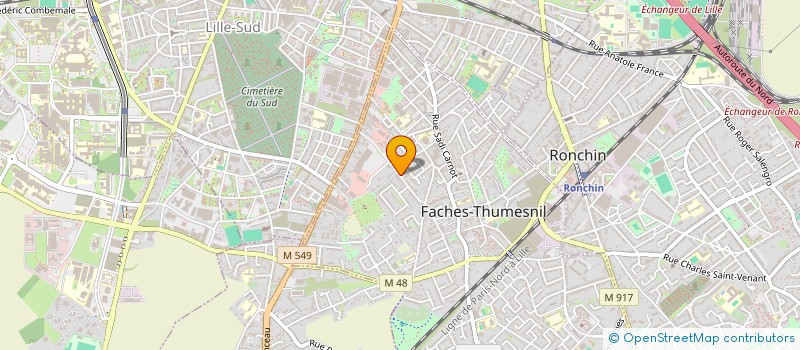 localisation de l'entreprise MONSIEUR ERWANN CARDON  FACHES-THUMESNIL