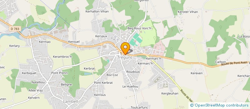 localisation de l'entreprise MONSIEUR ERWIN DUNIS  TREGUNC