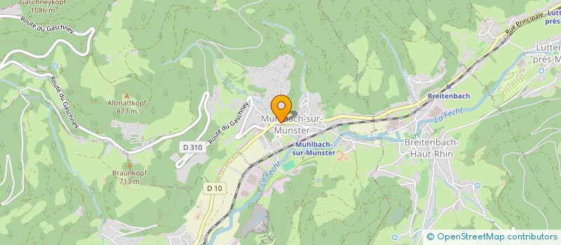 localisation de l'entreprise MONSIEUR ERWIN LOCHERT  MUHLBACH-SUR-MUNSTER