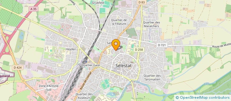 localisation de l'entreprise MONSIEUR ERWIN SCHNEIDER à SELESTAT