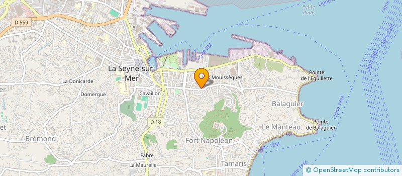 localisation de l'entreprise MONSIEUR ES SAID SIKOU à LA SEYNE-SUR-MER