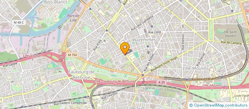 localisation de l'entreprise MONSIEUR ET MADAME SYLVAIN CASIEZ à LILLE