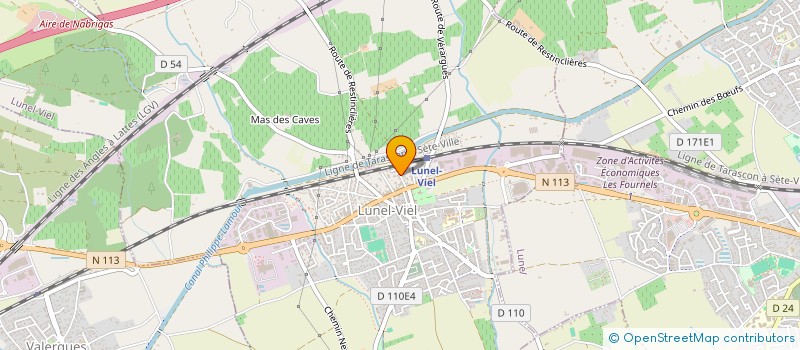 localisation de l'entreprise MONSIEUR ETHAN BOIS  LUNEL-VIEL