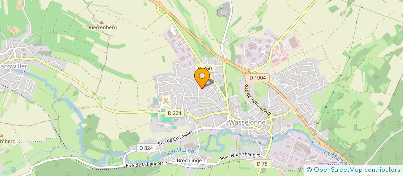 localisation de l'entreprise MONSIEUR ETHAN DZIUBA  HOHENGFT